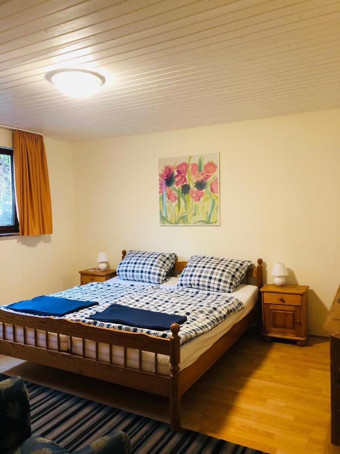 Apartamento Haus Hubertus Willingen  Exterior foto
