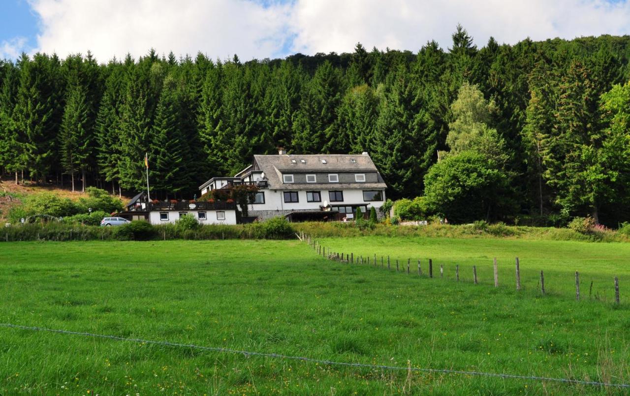 Apartamento Haus Hubertus Willingen  Exterior foto